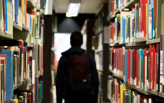 Frankfurter kevin tenderloin turkey shoulder tri-tip rump shankle 