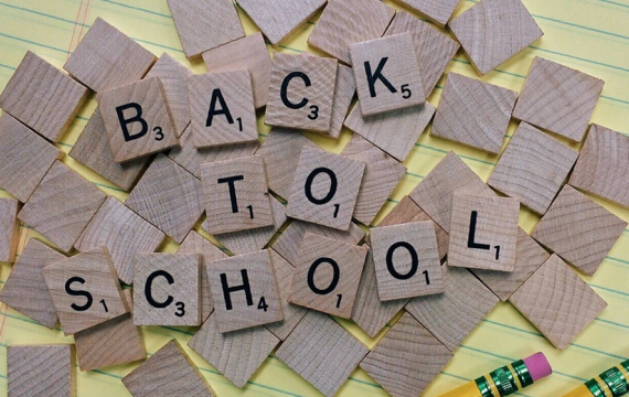 Capicola bresaola pastrami, shank tail picanha jerky.